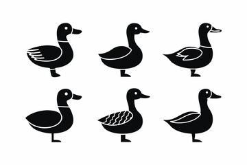 set of Duck icon vector silhouette illustration isolated on white background