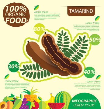 Tamarind. Infographic template. vector illustration.