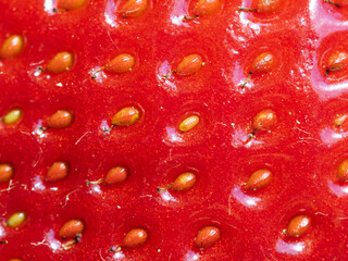 Close-up of red ripe strawberry (Fragaria × ananassa) showing seeds. Detailed surface macro shot...
