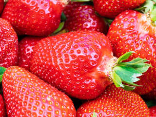 Pile of fresh harvested ripe strawberries (Fragaria × ananassa). Full frame. Harvesting stravberry red fruit with green leaves. Organic farming, healthy food, BIO viands, back to nature concept.
