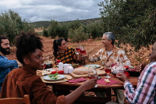 Friends toasting wine glasses during dinner at olive grove farm