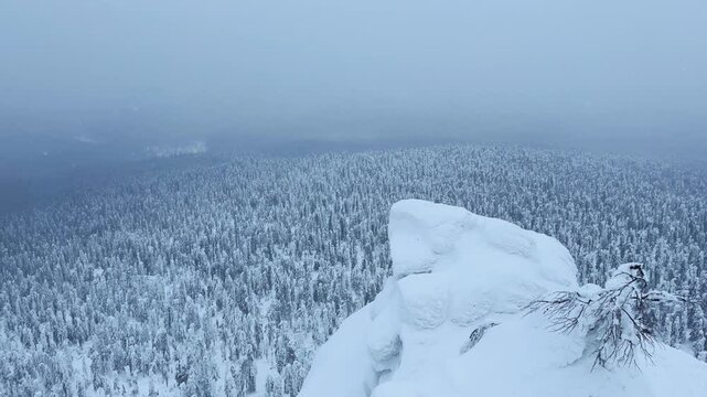 View of the white rocks and the winter forest on Mount Polyud. Lappish spruces on Mount Polyud in the Perm region in winter. In winter, there is a lot of snow and frost on the trees in the Urals. 4К