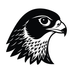 Peregrine Falcon Head in Profile