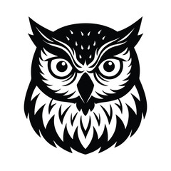 Snowy Owl Head with Yellow Eyes