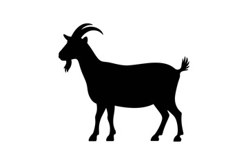goat on white background