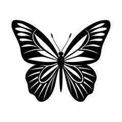 Black and White Butterfly Silhouette with Detailed Symmetrical Wings | High-Contrast Geometric Patterns