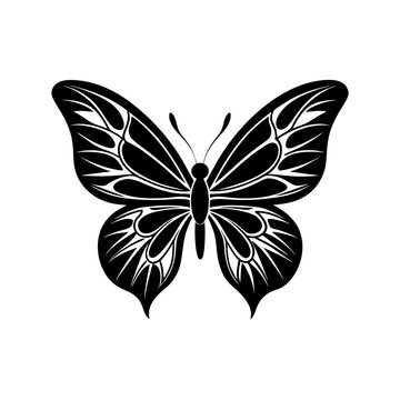 Black and White Butterfly with Intricate Symmetrical Wings | High Contrast Minimalist Abstract Design 