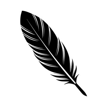 Black and White Feather with Intricate Patterns | Detailed Digital Art and Minimalist Design v2