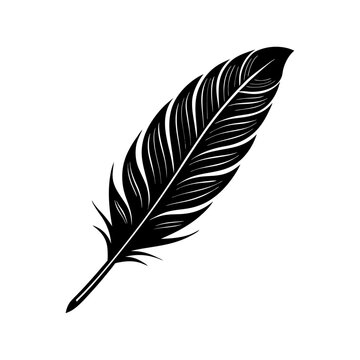 Black and White Feather with Intricate Patterns | Detailed Digital Art and Minimalist Design