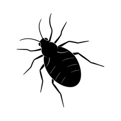 Vector Design of Aphid: Small  Body with Black Eyes