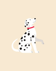 Dalmatian. Dog. Vector color image.