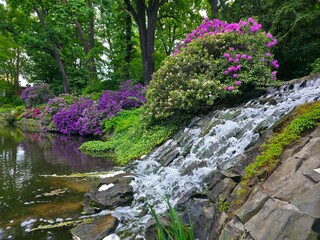Waterfall in Wroclaw botanical garden 