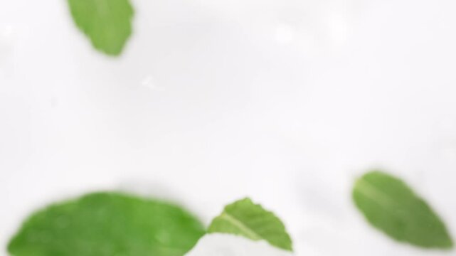 Ice cubes and mint explosion in slow motion.