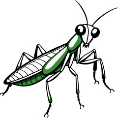 green grasshopper isolated on white