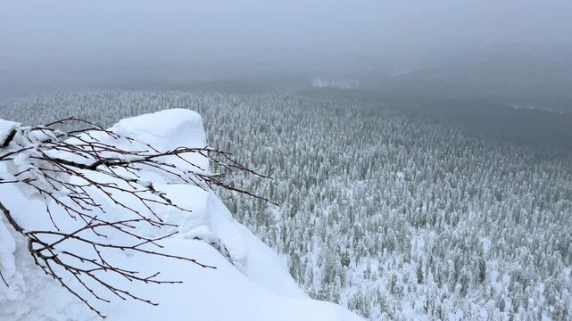 View of the white rocks and the winter forest on Mount Polyud. Lappish spruces on Mount Polyud in the Perm region in winter. In winter, there is a lot of snow and frost on the trees in the Urals. 4К	