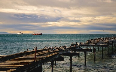 Fototapeta premium Waves and Wonders: Serene Moments on Chile’s Shore