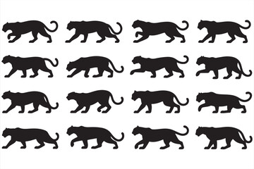 Black Panther Walking Through the Grass in Various Poses