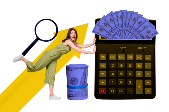 Collage 3d image of pinup pop retro sketch of funny excited female pushing calculator dollar banknotes search zoom financier economist