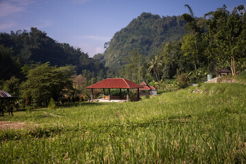 Traditional gazebo with red roof in a tropical rice field valley, surrounded by lush green forest...