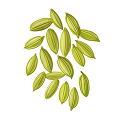 My Simple flat 2D icon, fennel seeds isolated on a transparent background, vector, flat design, animation design, simple flat 2D icon, minimalist design, clipart. eps
