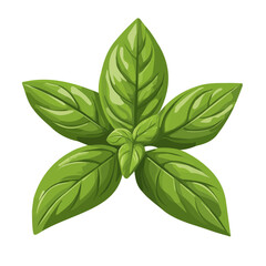 My Simple flat 2D icon, pesto basil isolated on a transparent background, vector, flat design, animation design, simple flat 2D icon, minimalist design, clipart. eps