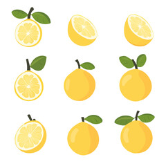 My Simple flat 2D icon, quinces set isolated on a transparent background, vector, flat design, animation design, simple flat 2D icon, minimalist design, clipart. eps