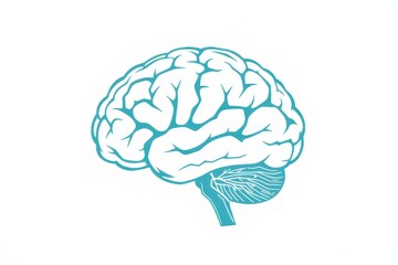 List memorizing concept. Illustration of a brain with intricate details and blue outlines.