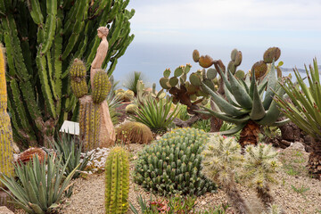 A stunning view of Eze, a medieval hilltop village in the South of France with stone buildings,...