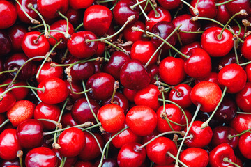 Cherry background, fruit top view, tasty cherries close up