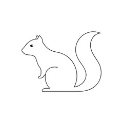 Groove Toothed Squirrel Discover Unique African Rodent and Wildlife Behavior