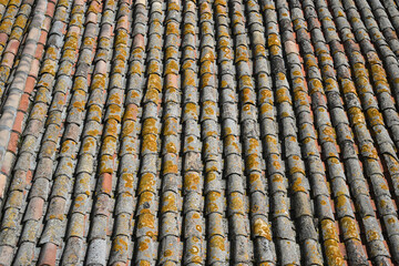 tiles on a roof seen from above in close-up