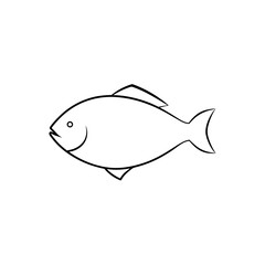 Delicious Halibut Fish Explore Popular Seafood for Healthy Cooking Recipes