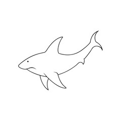 Majestic Hammerhead Shark Explore Unique Marine Predator of Ocean Depths