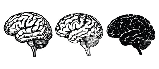  Human head silhouette with brain.