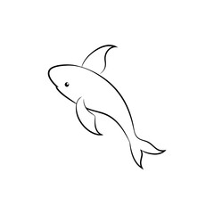 Fototapeta premium A Colorful Koi Fish A Decorative Carp Often Found In Ponds On A White Canvas