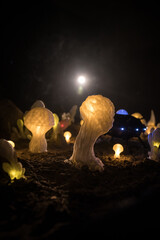 Abstract Miniature of Another Planet with Giant Glowing Mushrooms. A Nighttime Scene on an Alien World, Illuminated by the Soft Glow of Otherworldly Fungi.