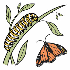 butterfly on a leaf