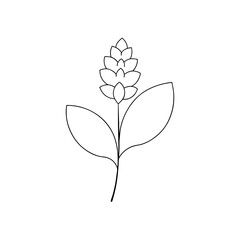 A Sprig Of Lilac With Fragrant Purple Flowers On An Isolated White Surface