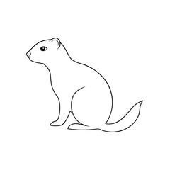 The Little Ground Squirrel A Small Rodent From Africa On A White Background