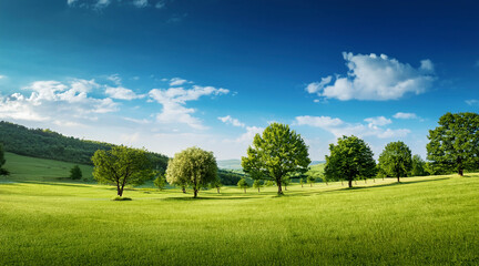 Obraz premium landscape in the summer