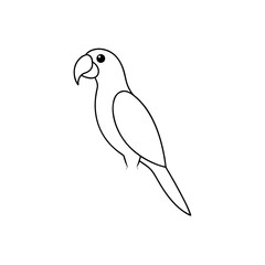 Fototapeta premium A Colorful Macaw A Large And Social Parrot From The Tropics On A White Floor