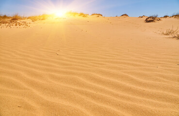 Sand Dunes with Tire Tracks, Oleshky Sands