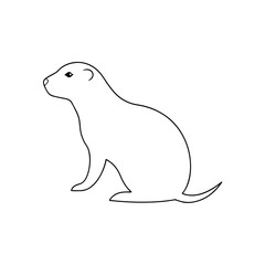 The Mexican Prairie Dog An Endangered Rodent Species On A White Background