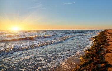 Seaweed Beach Sunset Landscape