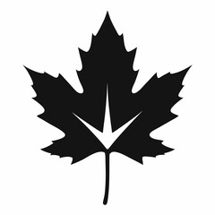 maple leaf silhouette