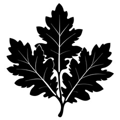 Fototapeta premium maple leaf silhouette