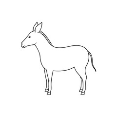 Obraz premium The Mountain Zebra A Species From Southern Africa On An Isolated White Canvas