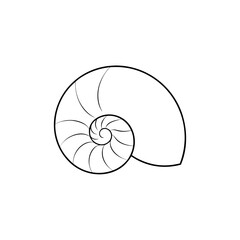 Obraz premium A Nautilus Shell A Beautiful And Spiral Shaped Marine Mollusk On White