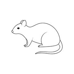 Obraz premium The Nicobar Tree Shrew A Small Mammal From The Nicobar Islands On White