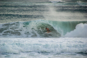 surfing the wave